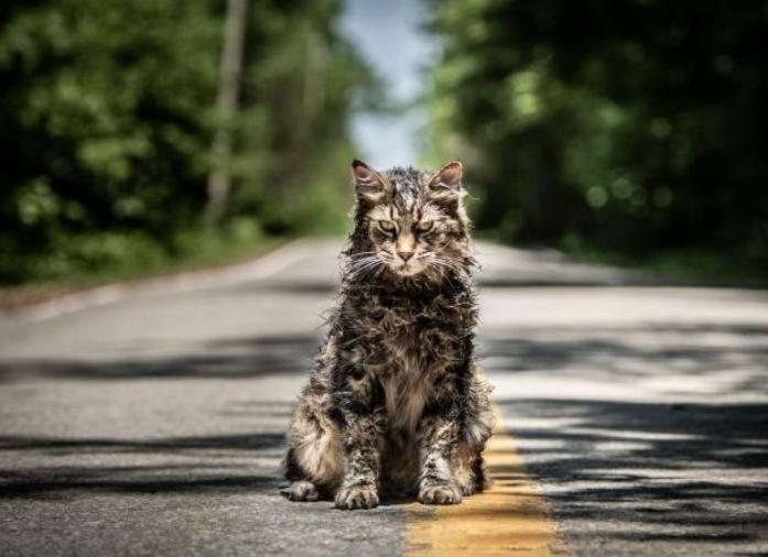 Вышел трейлер хоррора «Кладбище домашних животных: Родословные»